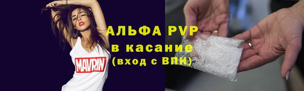 гидра Богданович